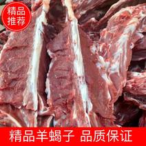 满肉羊蝎子羔羊加肉款多肉羊蝎子羊副产品纯干货