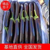 【茄子】精品长茄产地现摘现发品质保证全国发货