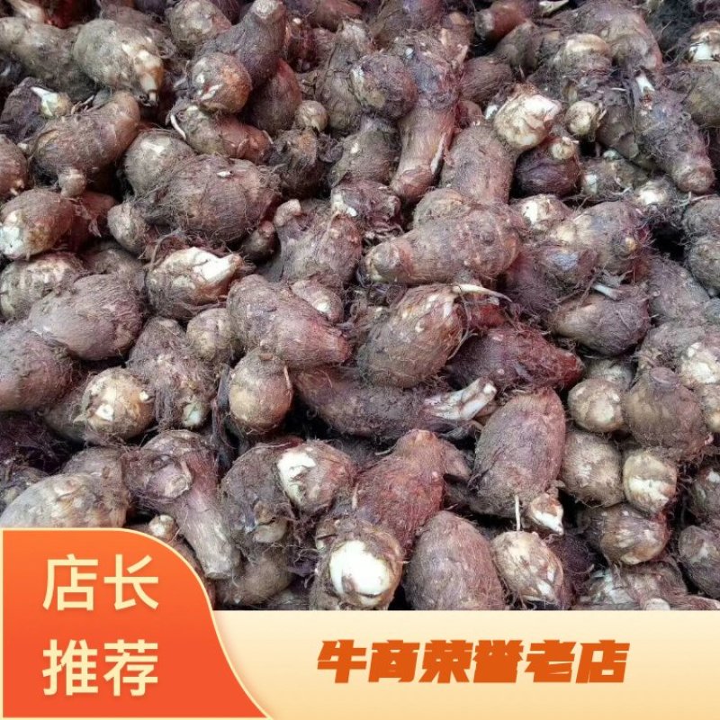 【精选】芋头大量上市，产地直发，价格便宜，保证质量