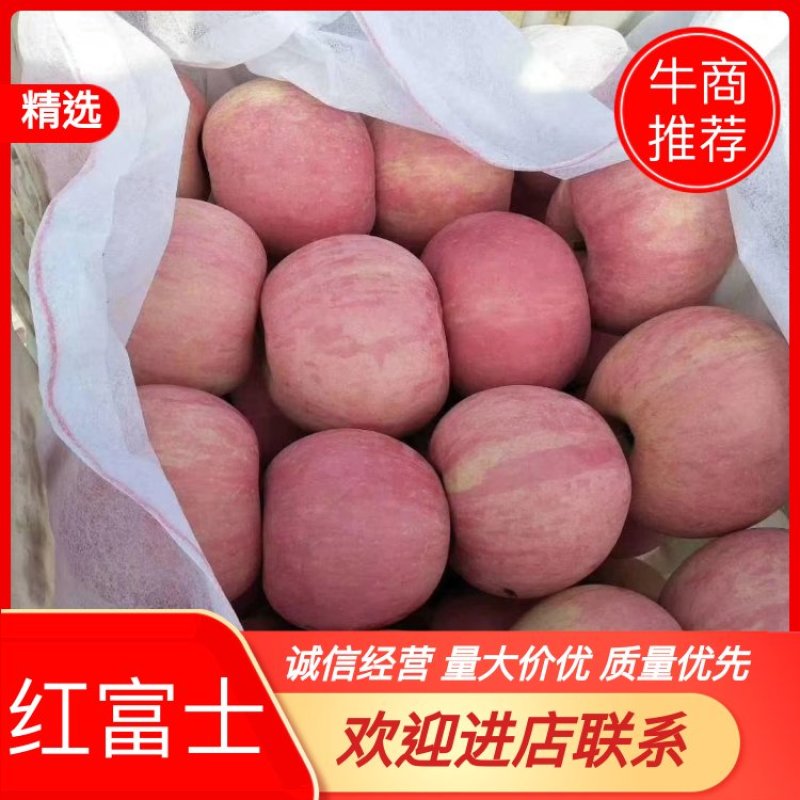 【推荐】山东红富士苹果大量上市，产地直发全国发货，可视频