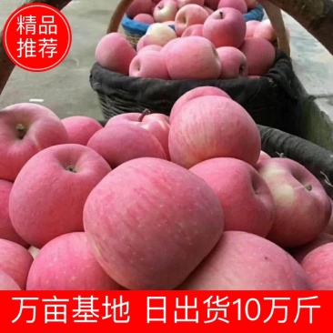 【推荐】山东红富士苹果大量上市，产地直发全国发货，可视频