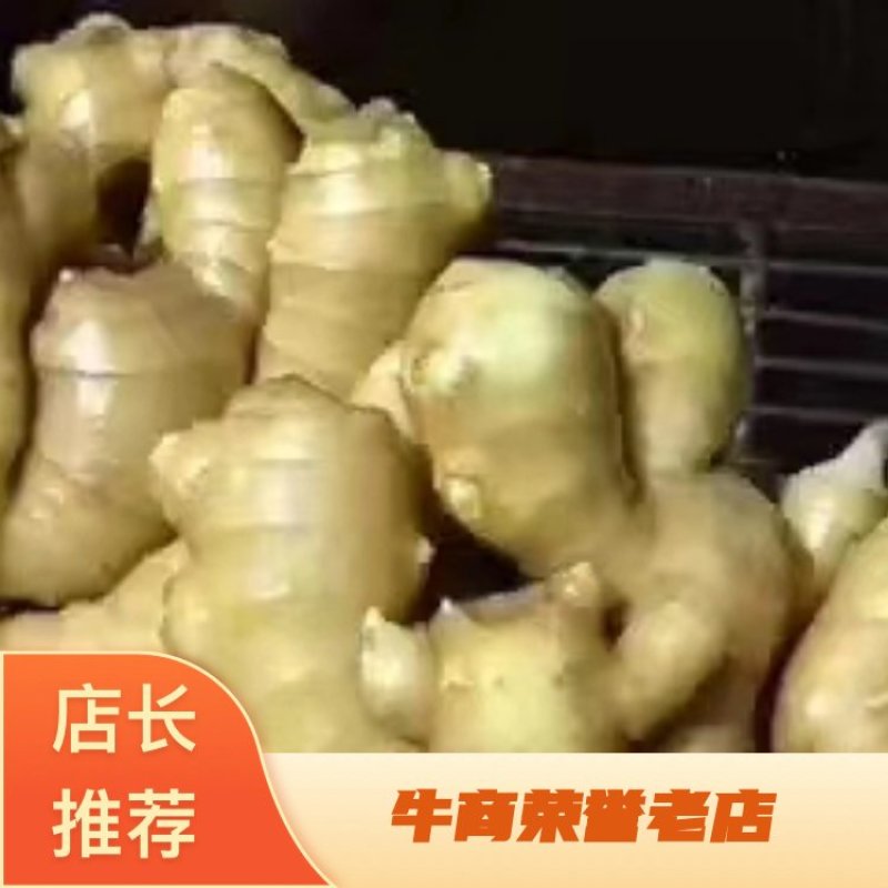 【精品】小黄姜，优质小黄姜。辣味足，货源充足，全国发货