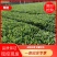 【精品】非洲茉莉7斤袋，规格齐全一手货源欢迎老板来电