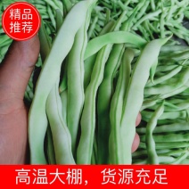 九粒白芸豆，”价格合理，质量保证，颜色漂亮，现采现发。