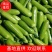 【热卖】山东西葫芦费县西葫芦可对接超市市场食堂
