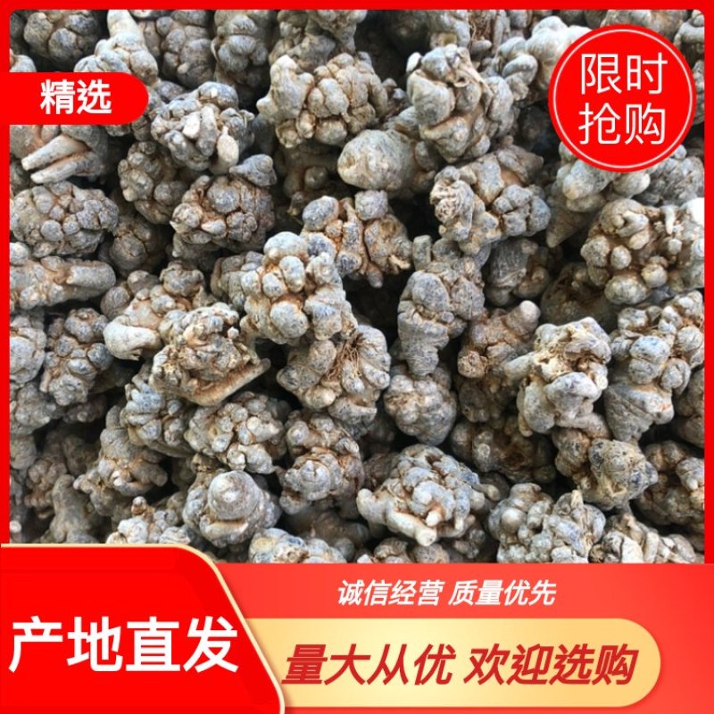 文山三七田七20头滑头水洗足干三七