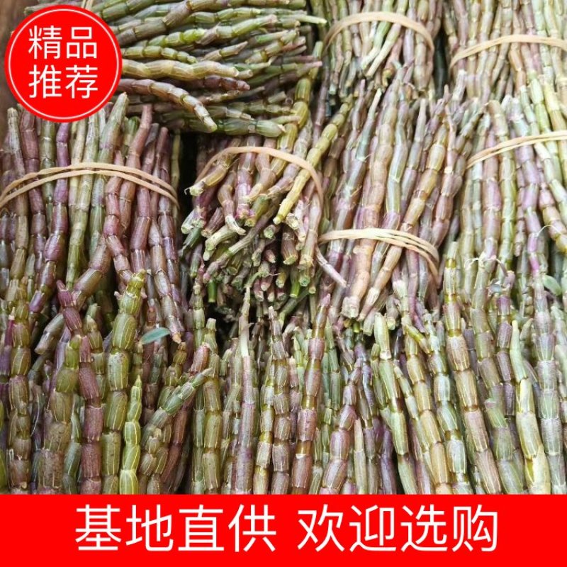 铁皮石斛干条金条寸条各类精品云南铁皮石斛干条可带磨粉