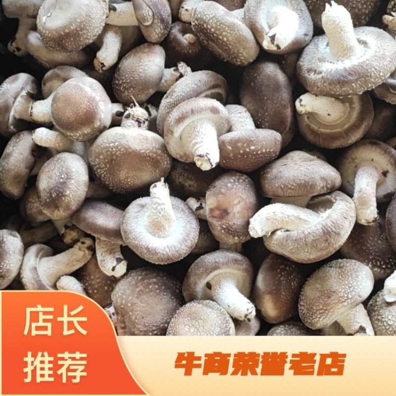 808香菇，0912香菇，各种规格香菇各种剪根香菇，超市