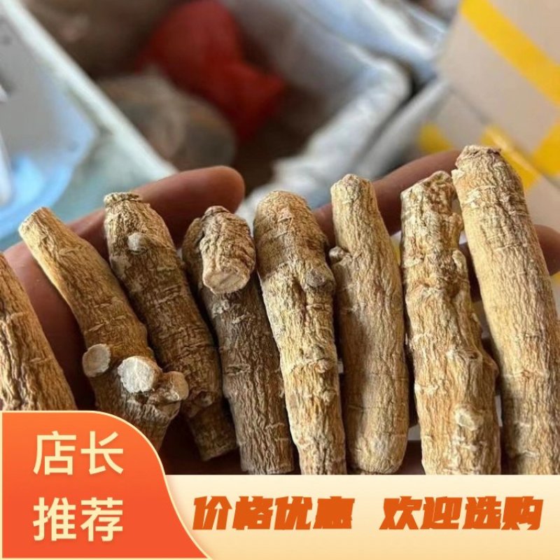 15克山东短支西洋参漂亮货颜色好参味浓