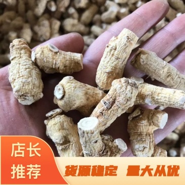 西洋参软质粒头1克2克5克软质粒头价格便宜