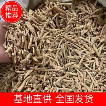 进口西洋参小节国产西洋参小节质量保证价格实惠