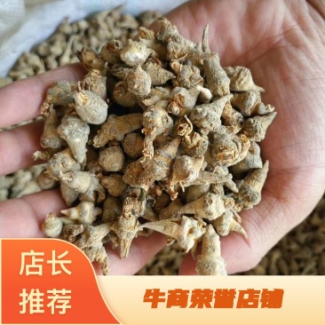 云南文山三七小三七籽条足干小三七生洗干洗都有货