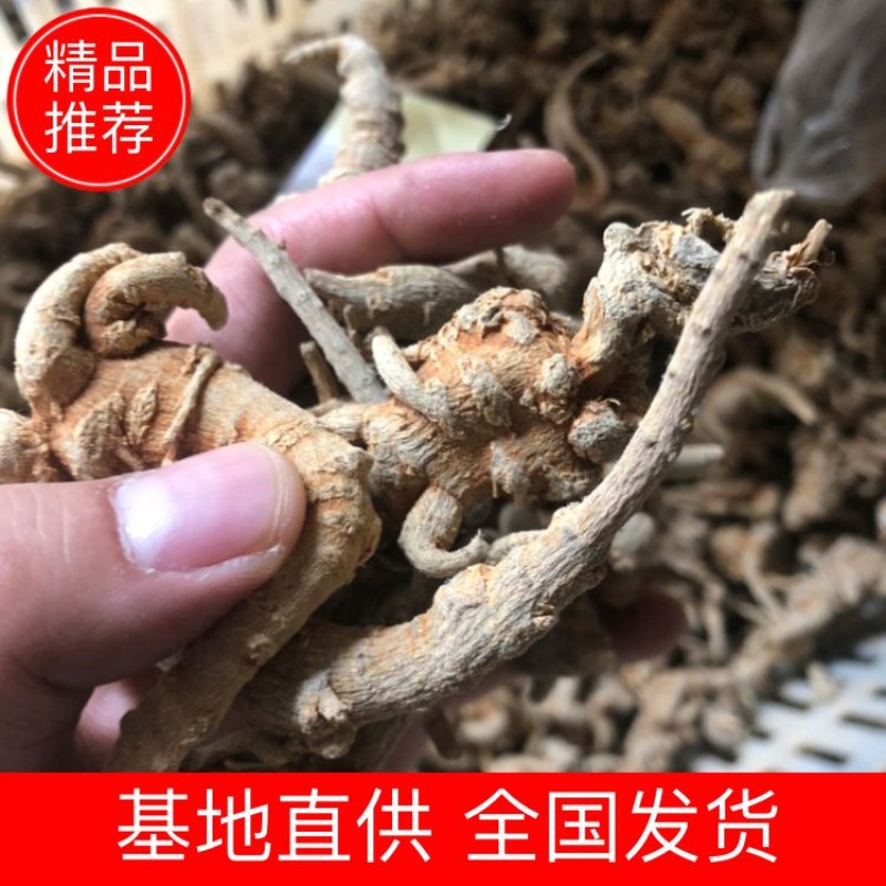 云南文山三七全枝三七无修剪可当野生三七