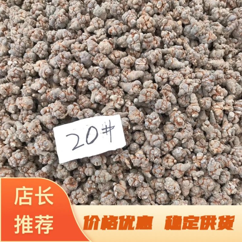 文山三七产地直发文山三七田七水洗足干足称足头