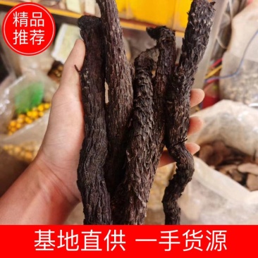 正品肉苁蓉新疆中药材特级男性泡茶酒料丛整根