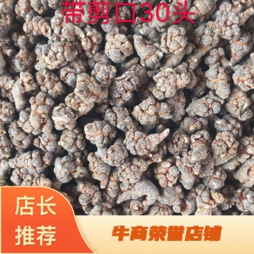 云南文山三七春三七30头带剪口三七和不带剪口三七量大从优