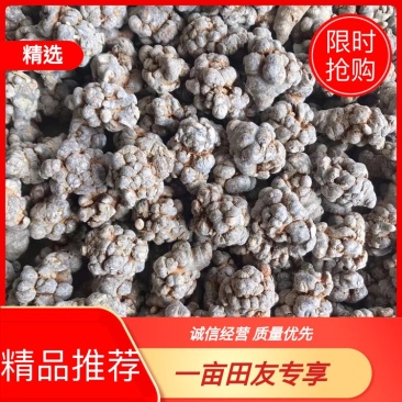 云南三七自种自销精选优质水洗足干戴帽三七特级田七