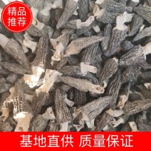 羊肚菌干货250克500克云南特产煲汤食材营养新鲜菇类