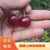 汉源黑樱桃应季水果纯甜不带酸味支持团购可视频看果