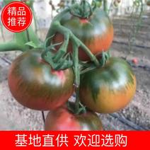 西红柿草莓西红柿海阳草莓西红柿水果西红柿酸甜可口