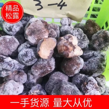 【松露】白松露产地直销量大从优全国发货品质保证