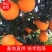 广西富川纽荷尔脐橙—富川脐橙又脆又爽口，口感好，欢迎电话咨询