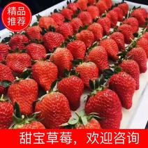 甜宝佐贺草莓产地直供货源充足欢迎来电