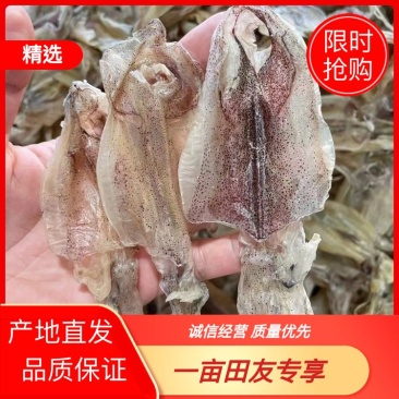 【推荐】广西北部湾一晚海船晒制小鱿鱼干产地直发，品质保证