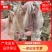 【推荐】广西北部湾一晚海船晒制小鱿鱼干产地直发，品质保证