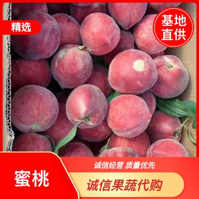 实力城固县红不软毛桃突围桃系列品种多一手货源发全国市场