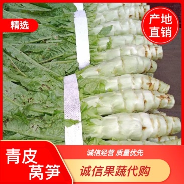 精品青皮莴笋，无裂缝，产地直销，一手货源，可视频看货