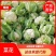 汉中城固菜花精品实菜花乳白紧花，全国发货，产地直发