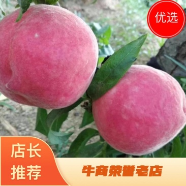 蒙阴沂蒙山水蜜桃一件代发供应微商电商欢迎合作