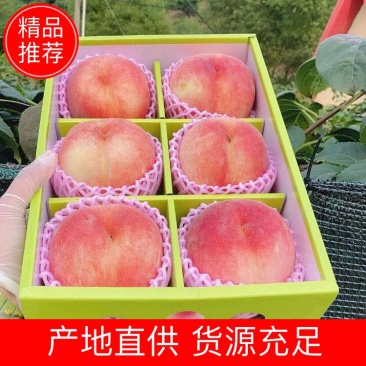 蒙阴沂蒙山蜜桃现摘现发，量大从优（专业代办）代收代发
