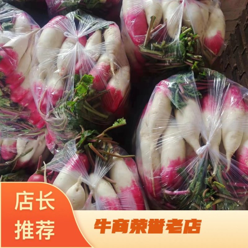 【精品】花叶萝卜水萝卜大量上市啦欢迎各位老板进店咨询