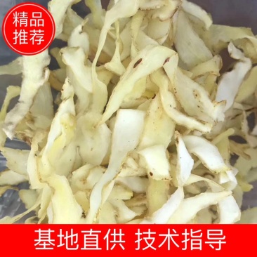 玉竹