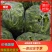 二级鲜辣椒，各类次椒，食堂饭堂专供，电商专供，辣椒切片