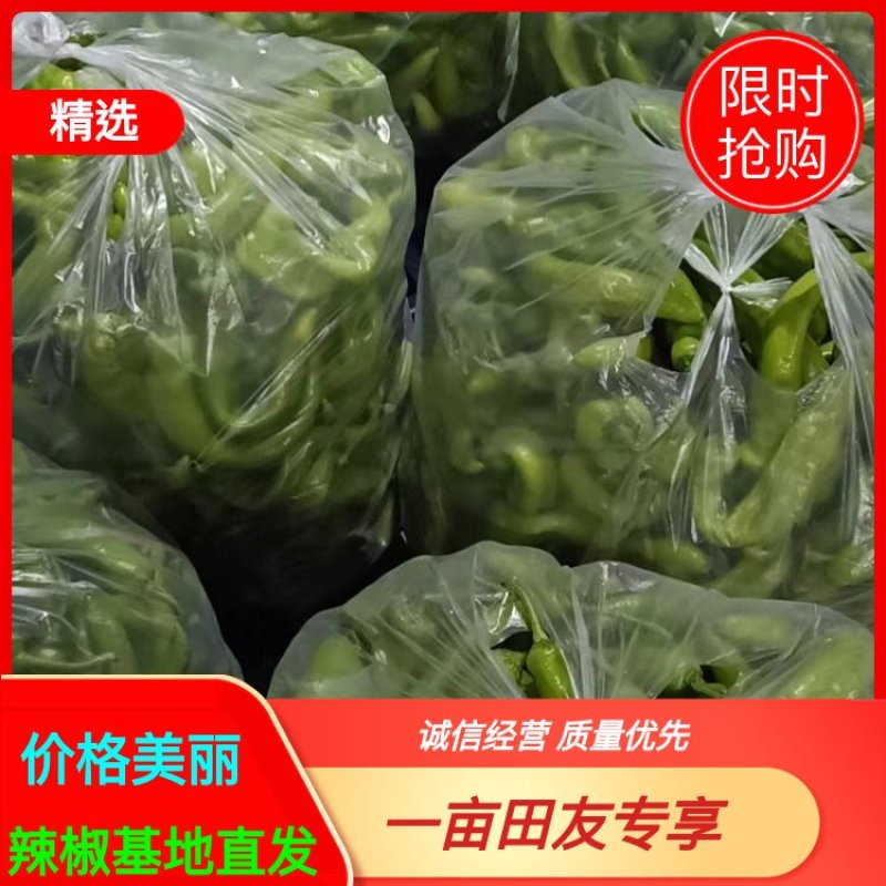 二级鲜辣椒，各类次椒，食堂饭堂专供，电商专供，辣椒切片