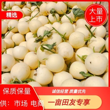 白沙蜜白瓜，各种白甜瓜大量上市中，保熟保甜