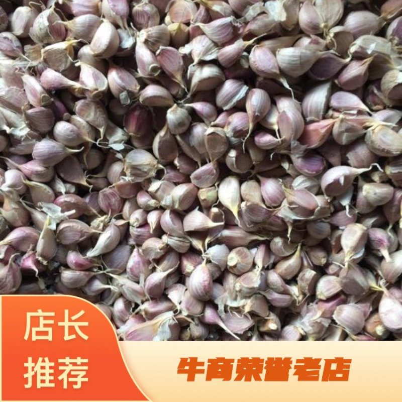 彭县蒜一水早正月早早蒜