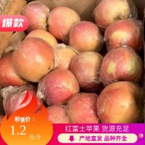 【精品】山西冷库冰糖心红富士苹果大量供应产地直发