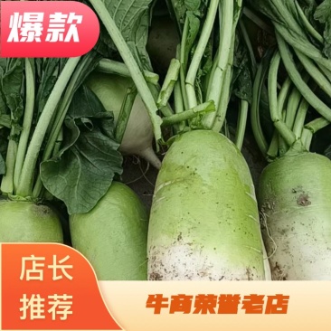 【牛商优选】水萝卜，自产自销，货源充足，质量保证