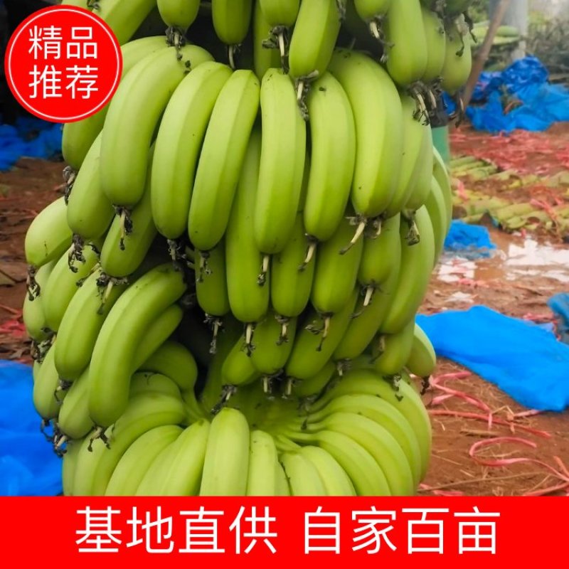 巴西