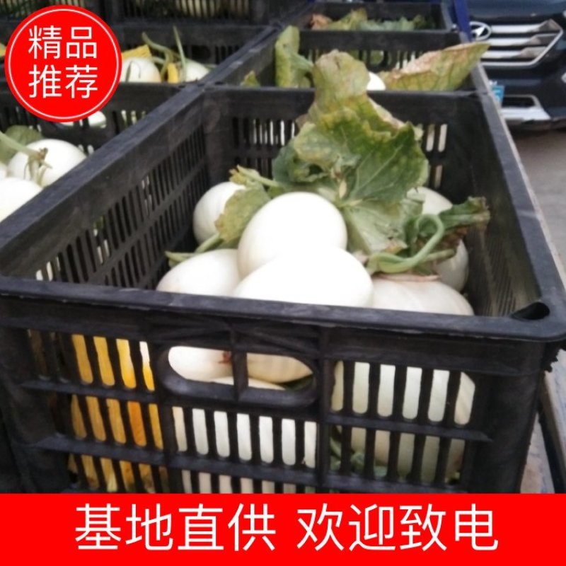 东方密大量有现货欢迎新老客户咨询，可视频看货，价格优惠