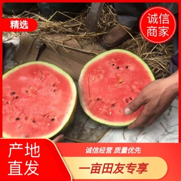 精品西瓜大量上市，需要可以联系