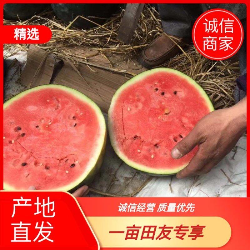 精品西瓜大量上市，需要可以联系