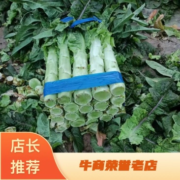 精品红莴笋产地直销量大从优全国走车发货可视频考察看货