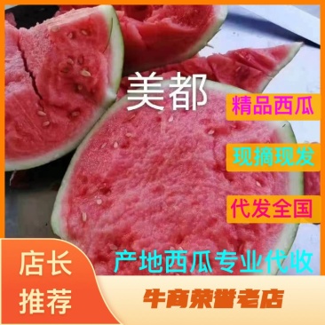精品无籽美都大量上市供应,欢迎前来选购,质量保证售后无忧