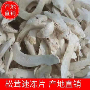 【松茸】松茸速冻片二级三级,量大从优,产地直发高品质