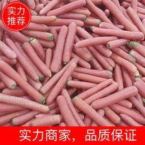 【实力】陕西沙苑水果红萝卜秤杆胡萝卜量大从优对接商超